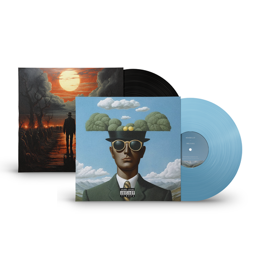 Pack LIMITÉ - Vinyle BLKKKK VAN GOGH3 + MR.AAA - 404Billy